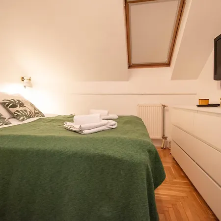 Apartment Spacious 1-bedroom