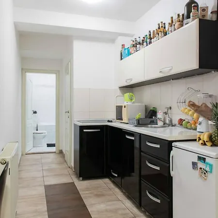 Apartment Spacious 1-bedroom Novi Sad