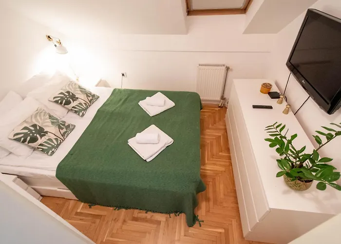 Daire Spacious 1-bedroom Novi Sad